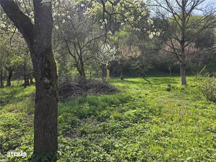 Casă cu 3 camere cu Teren 3748 Mp în Nădrag