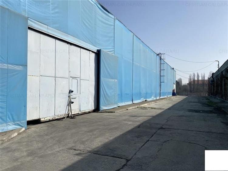 Teren Construcții intravilan de 30630 mp, în Olteniței