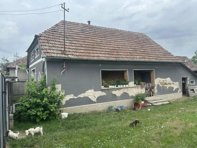 Casă cu Teren 2316 Mp în Gurbediu