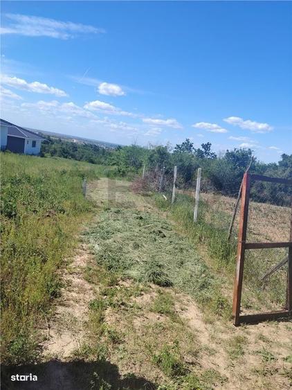 Spațiu comercial, în Paleu