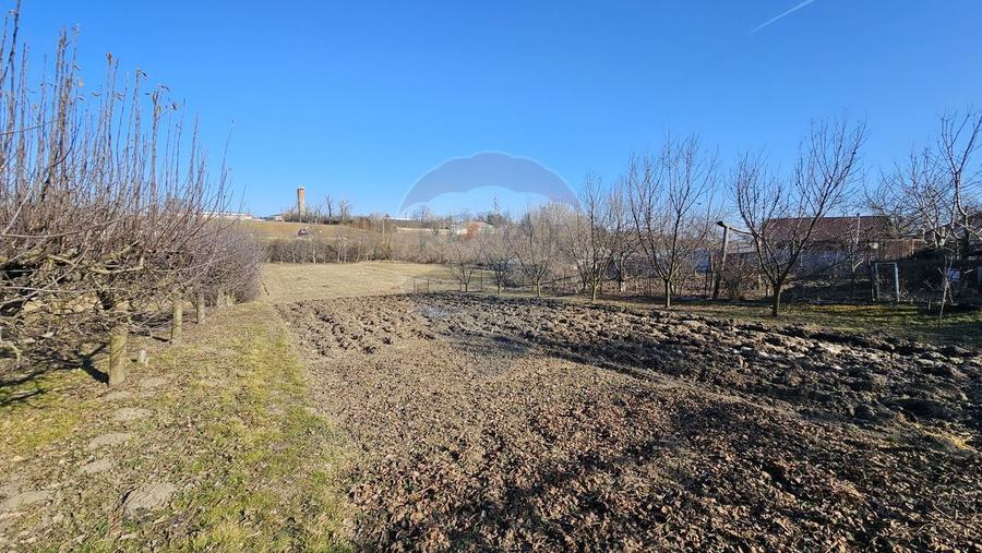 Casă cu 3 camere cu Teren 4900 Mp în Central