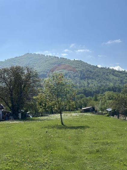 Teren Construcții intravilan de 3606 mp, în Pângărați