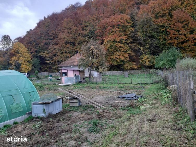 Casă cu 2 camere cu Teren 3500 Mp în Noua