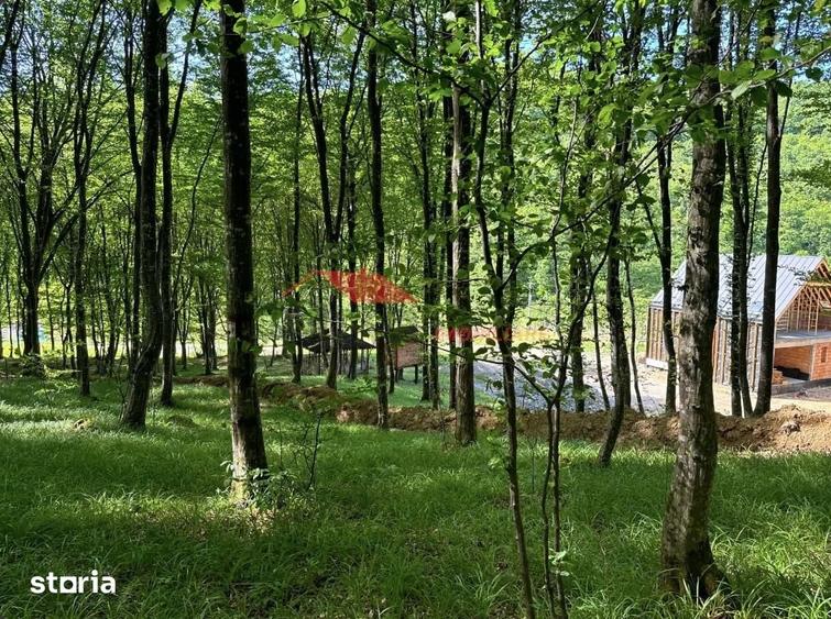 Teren de 10000 mp, în Central