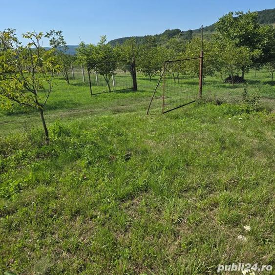 Teren de 7353 mp, în Almașu Mic