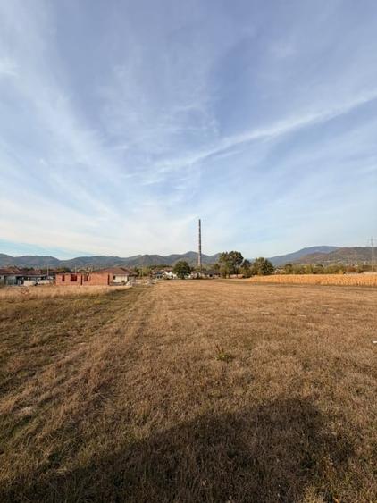 Teren Construcții extravilan de 3600 mp, în Vasile Alecsandri