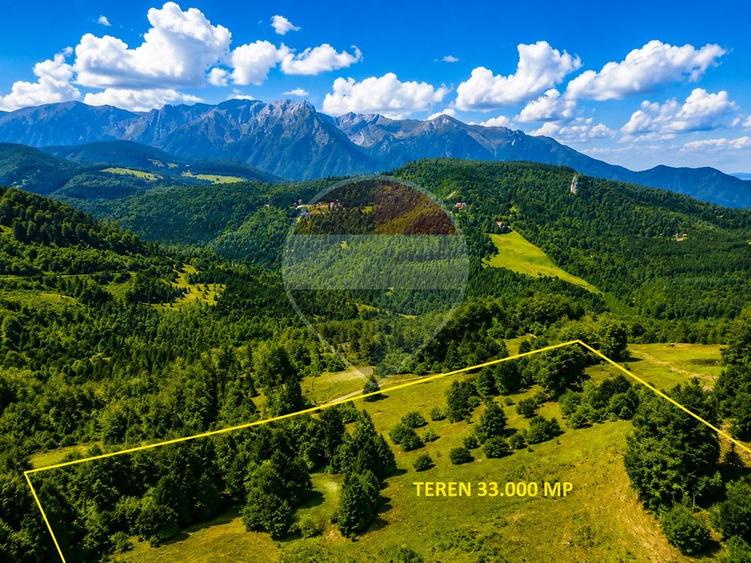 Teren agricol extravilan de 33319 mp, în Vlădeț - Trei Brazi
