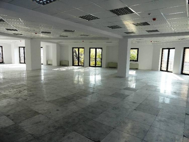Birou, de 438 mp, în Dacia
