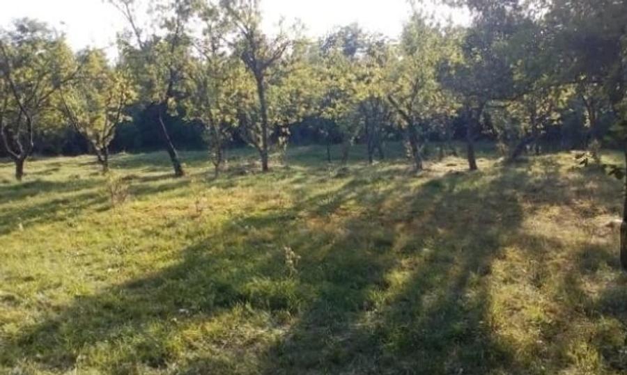 Teren de 3550 mp, în Teișani