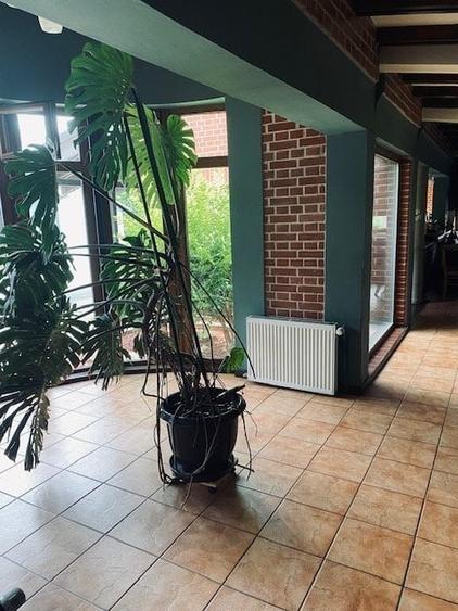 Casă individuală cu 11 camere cu Canalizare în Chișoda