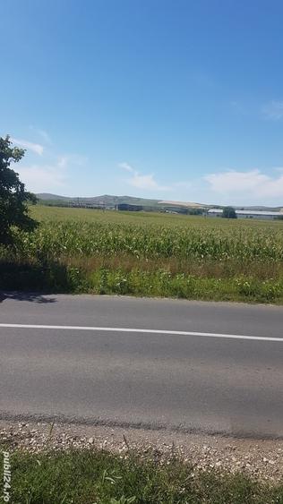 Teren de 4600 mp, în Central