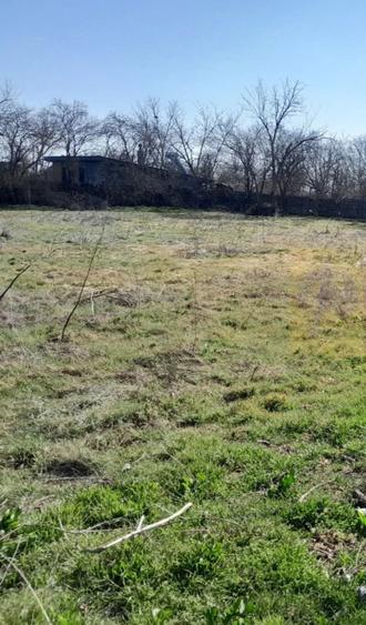 Teren de 2000 mp, în Chiroiu-Pământeni
