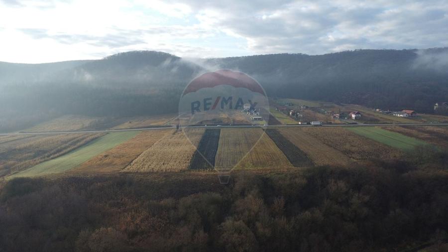 Teren Construcții intravilan de 9000 mp, în Gilău