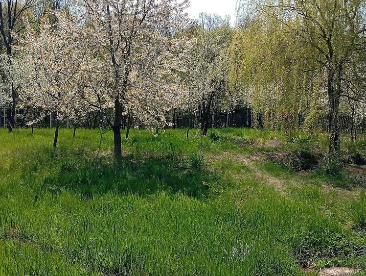 Casă cu 3 camere cu Teren 1848 Mp în Cocu