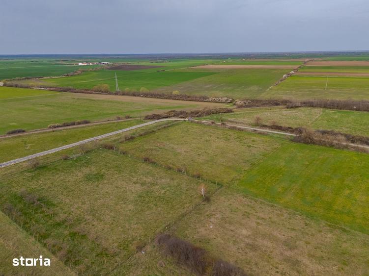 Teren de 1440 mp, în Șiria