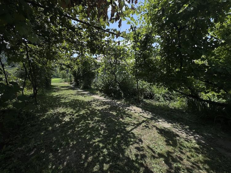 Casă cu Teren 500 Mp în Luncani