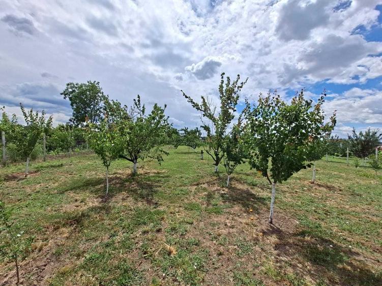Casă cu 3 camere în Diosig