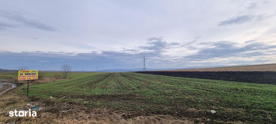 Teren de 5400 mp, în Bălușeni