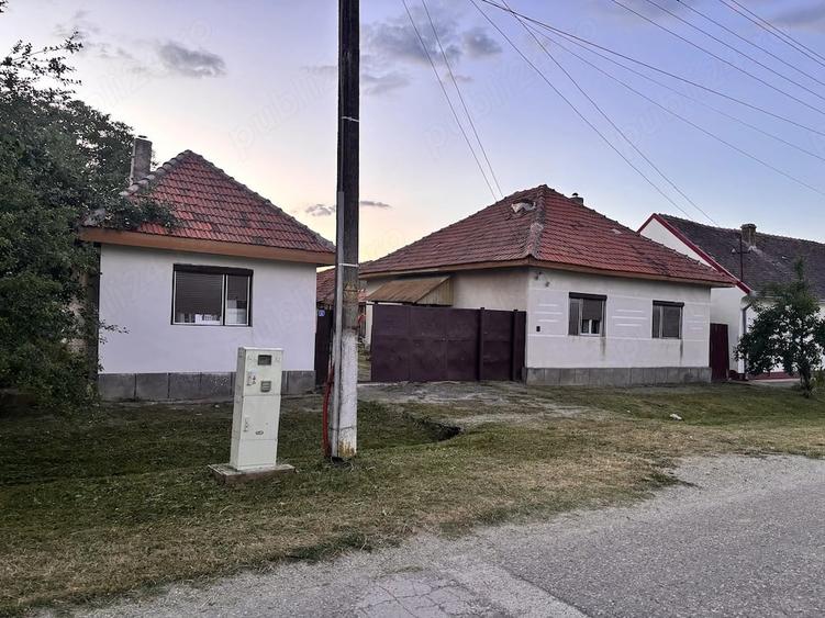 Casă cu Teren 4000 Mp în Sălbăgelu Nou