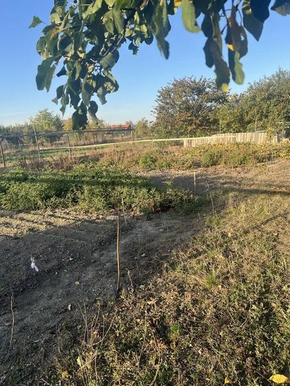 Casă cu 4 camere în Zărand