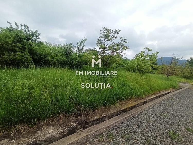 Teren agricol extravilan de 6330 mp, în Valea Borcutului