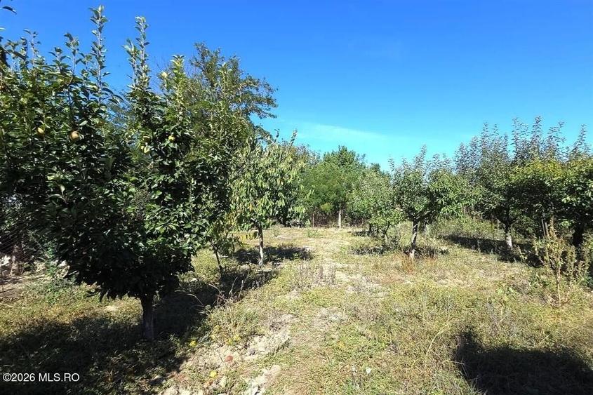 Casă individuală cu 5 camere cu Canalizare în Castelu