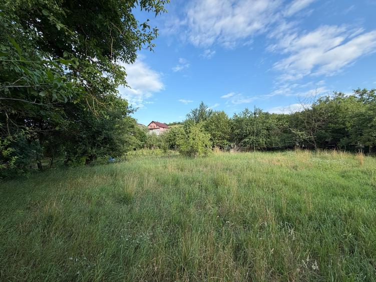 Teren intravilan cu constructie renovabila, 1715 mp, Zona Suceagu - 2