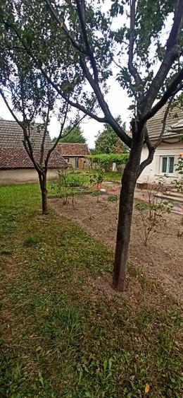 Casă individuală cu 2 camere cu Teren 1210 Mp în Bunloc
