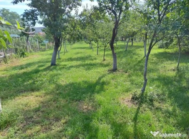 Casă cu 5 camere în Petrești