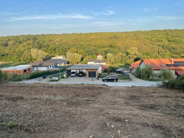 Teren de 800 mp, în Săldăbagiu de Munte