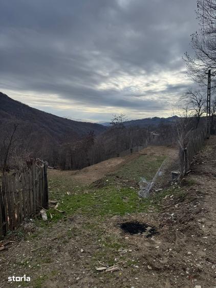 Teren de 1780 mp, în Șotrile