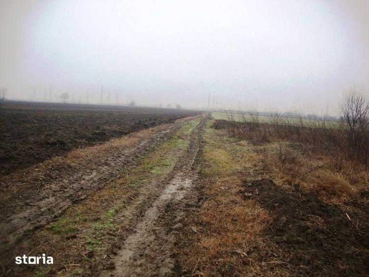 Teren de 2306 mp, în Cocorăștii Mislii