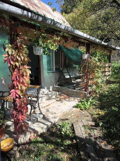 Teren de 4400 mp, în Central