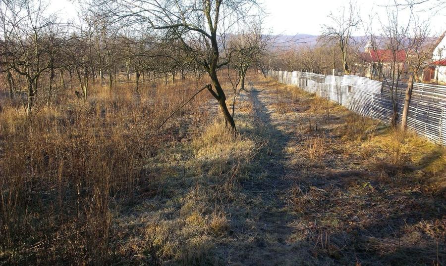 Casă cu 2 camere în Argeșani