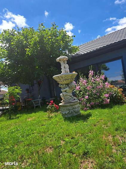 Casă cu 7 camere cu Teren 685 Mp în Limanu