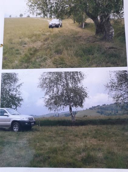 Teren de 17.000 mp situat in apropierea lacului Trei Ape, intr-o zona cu poten?ial turistic ridicat - 2