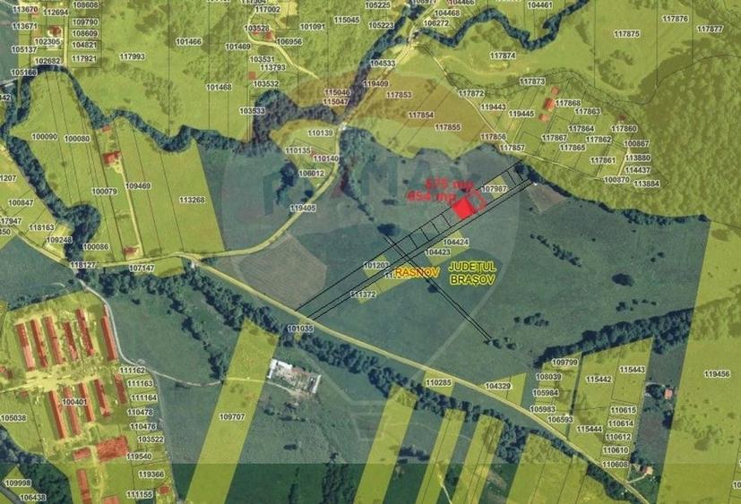 Teren Construcții intravilan de 654 mp, în Cheile Râșnoavei