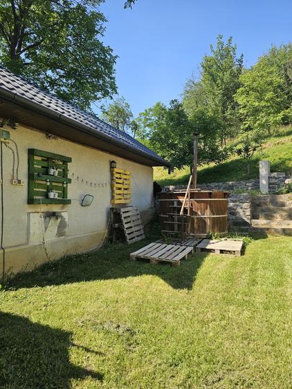 Casă cu 3 camere în Valea Chioarului