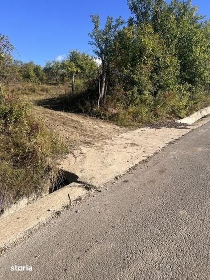Teren de 20000 mp, în Stremț