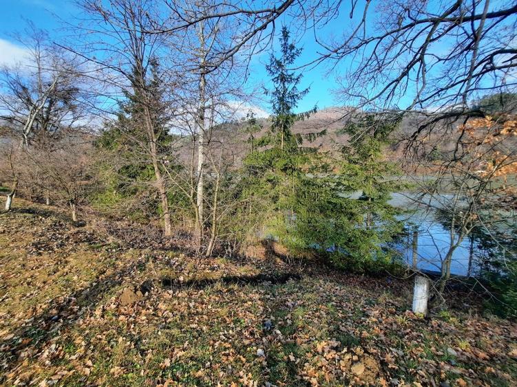 Teren intravilan de 2961 mp, în Alexandru cel Bun