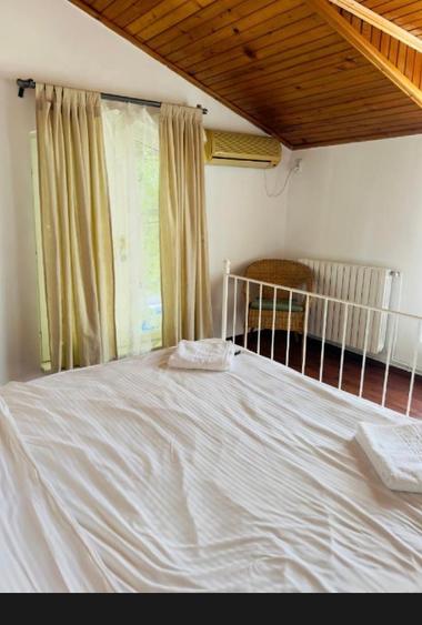 Apartament cu 3 camere decomandat, mobilat în Ultracentral