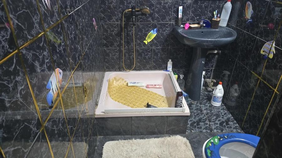 Casă cu 4 camere cu Teren 273 Mp în Gării