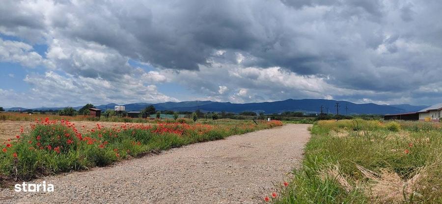 Casă cu 3 camere cu Teren 603 Mp în Ciugud