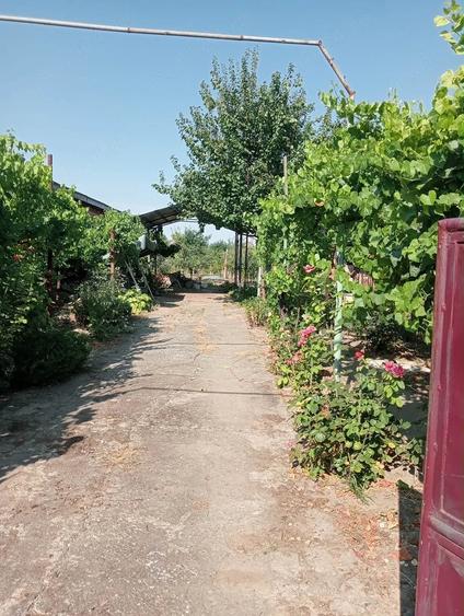 Casă cu Teren 150 Mp în Checea