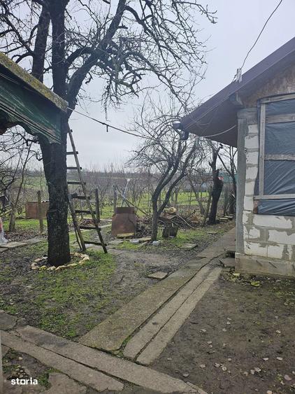 Comuna Valcelele, Strada Mircea cel Batran, Jud. Calarasi - 12