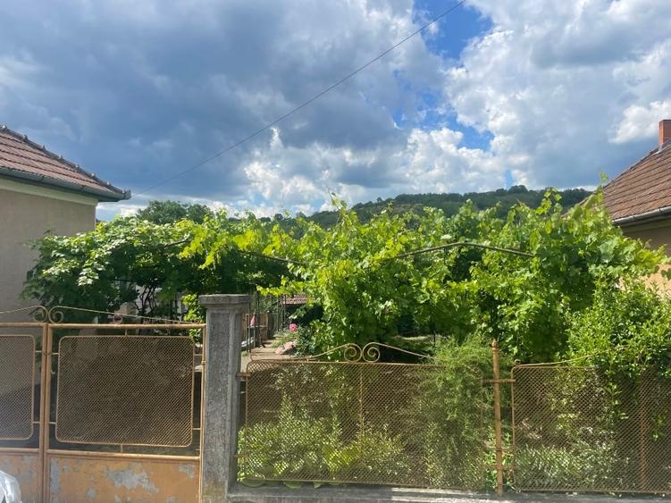 Casă individuală cu 4 camere cu Teren 1500 Mp în Central