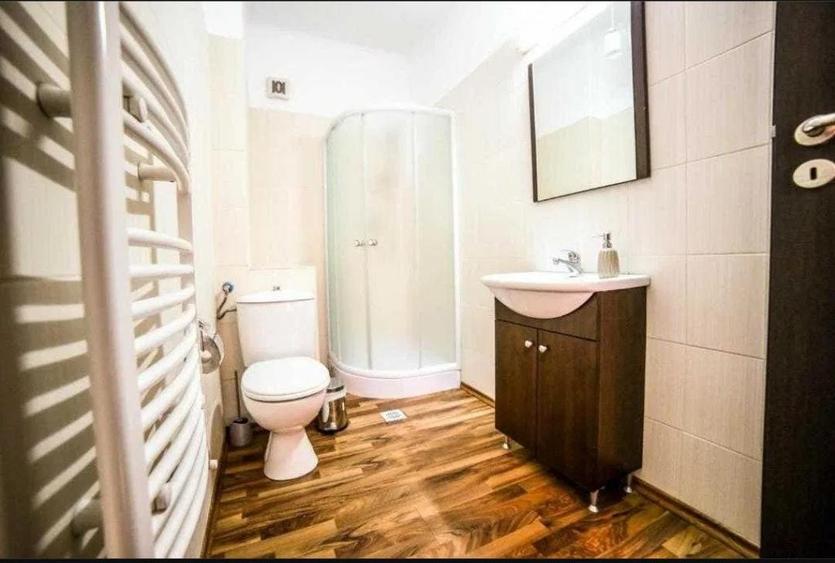 Casă individuală cu 14 camere cu Piscina în Parcul Carol