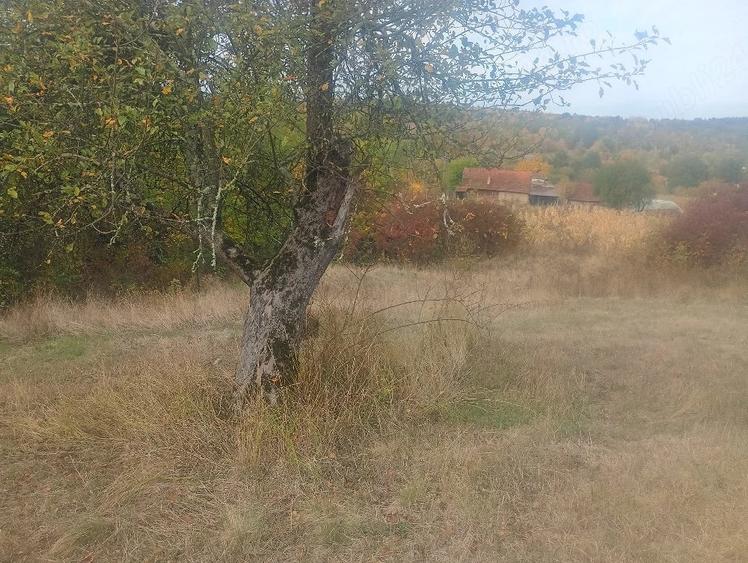Teren de 5000 mp, în Baia