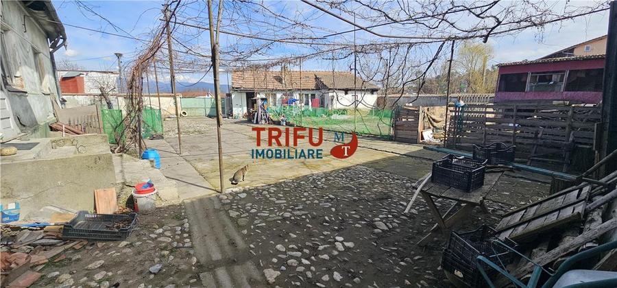 Teren Construcții intravilan de 8932 mp, în Șibot