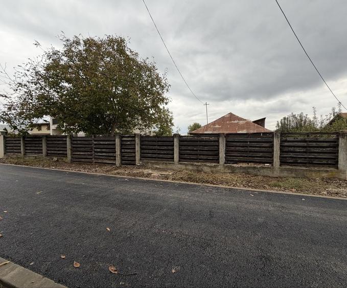 Teren de 2500 mp, în Tâncăbești